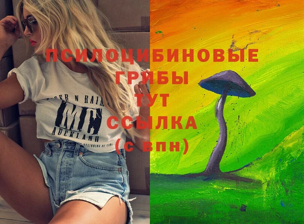 a pvp Бронницы